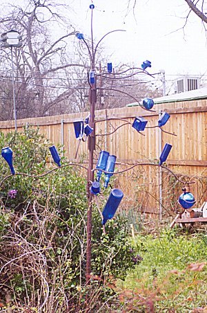 bottle tree